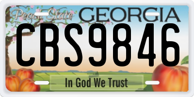 GA license plate CBS9846