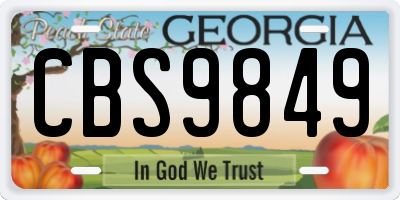 GA license plate CBS9849