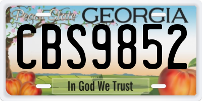 GA license plate CBS9852