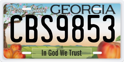 GA license plate CBS9853