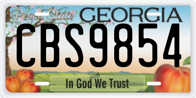 GA license plate CBS9854