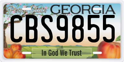 GA license plate CBS9855