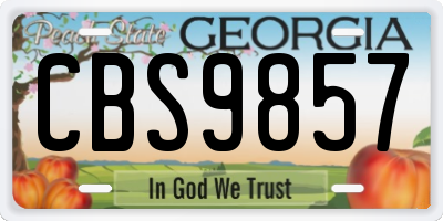 GA license plate CBS9857