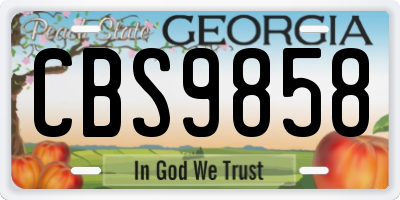GA license plate CBS9858