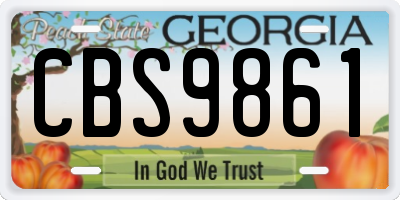 GA license plate CBS9861