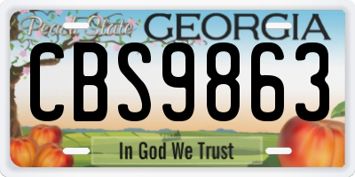 GA license plate CBS9863