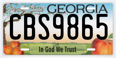 GA license plate CBS9865