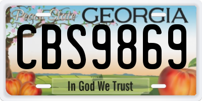GA license plate CBS9869