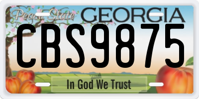 GA license plate CBS9875