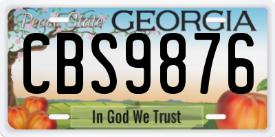 GA license plate CBS9876