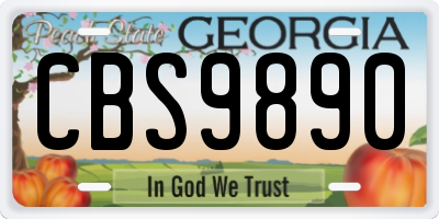 GA license plate CBS9890