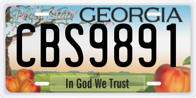 GA license plate CBS9891