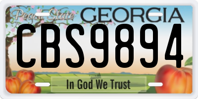 GA license plate CBS9894