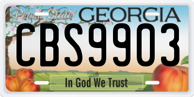 GA license plate CBS9903