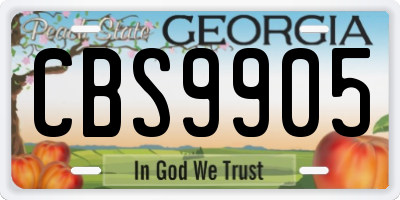 GA license plate CBS9905