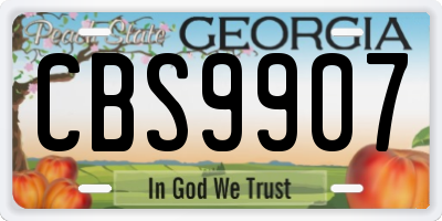 GA license plate CBS9907