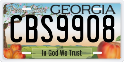 GA license plate CBS9908
