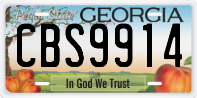 GA license plate CBS9914