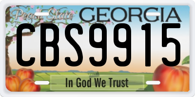 GA license plate CBS9915