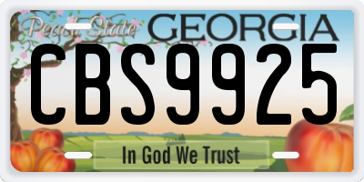 GA license plate CBS9925