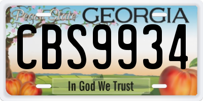 GA license plate CBS9934