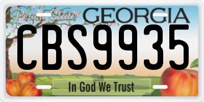 GA license plate CBS9935