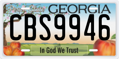 GA license plate CBS9946