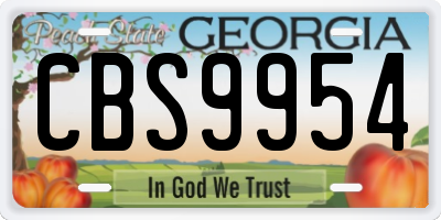 GA license plate CBS9954