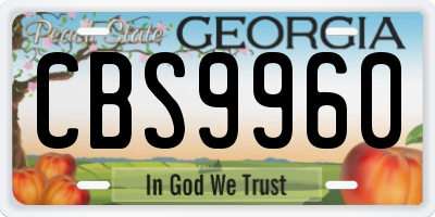 GA license plate CBS9960