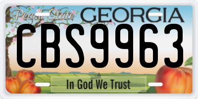 GA license plate CBS9963