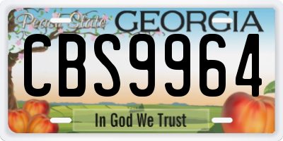 GA license plate CBS9964