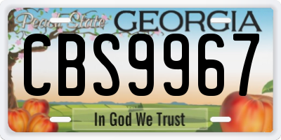 GA license plate CBS9967