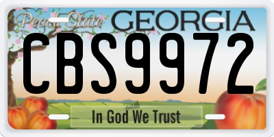 GA license plate CBS9972