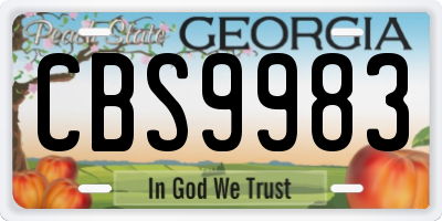 GA license plate CBS9983