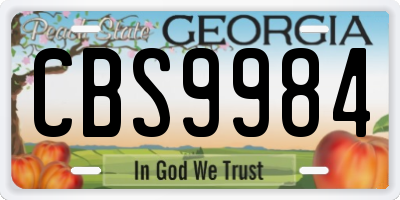 GA license plate CBS9984