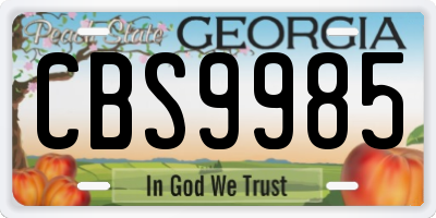 GA license plate CBS9985