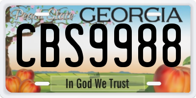 GA license plate CBS9988