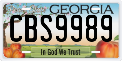 GA license plate CBS9989