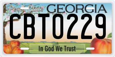 GA license plate CBT0229
