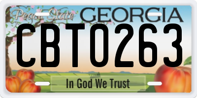 GA license plate CBT0263