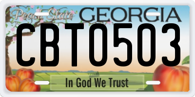 GA license plate CBT0503