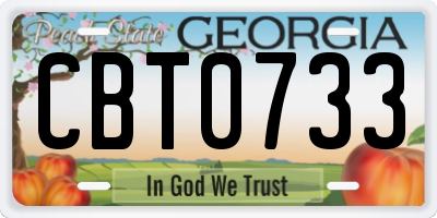 GA license plate CBT0733