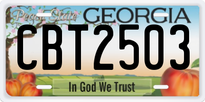 GA license plate CBT2503