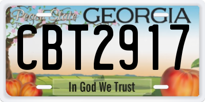 GA license plate CBT2917
