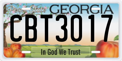 GA license plate CBT3017