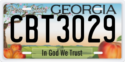 GA license plate CBT3029
