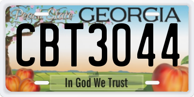 GA license plate CBT3044