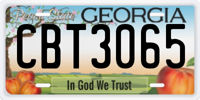 GA license plate CBT3065