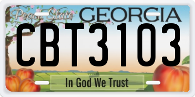 GA license plate CBT3103