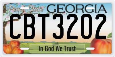 GA license plate CBT3202